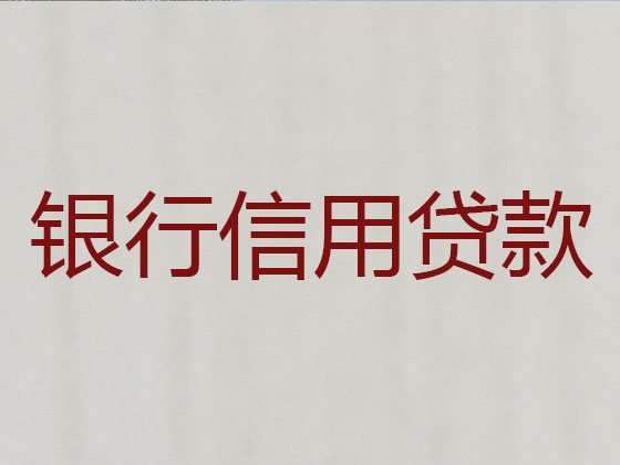 天长市贷款中介-银行信用贷款